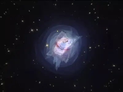 Jewel Bug Nebula 3D model