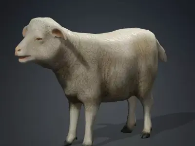 Low poly Sheep Low-poly 3D model