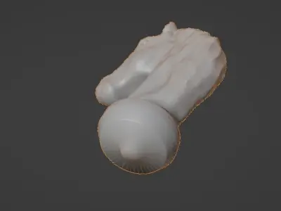 Horse head 3D print model order