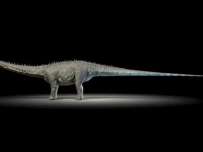 Diplodocus 3D model