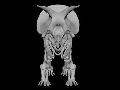 Triceratops dinosaur skeleton 3D model