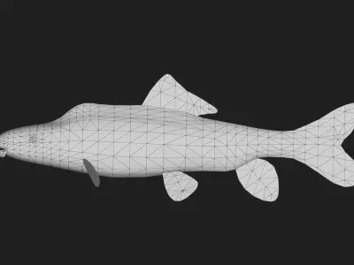 Carp fish Low-poly 3D model