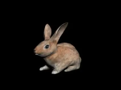 Rabbit 3D model purchase