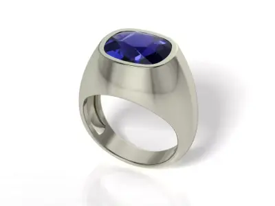 Cushion ring  3D print model