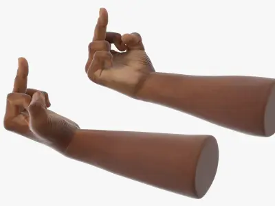 Black Male Hand Pair with Middle Finger Gesture 3D model