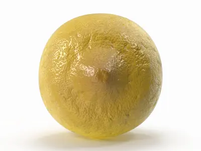 Lemon  purchase 3D model
