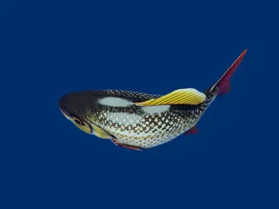 Fish PBR rigging animation Low-poly 3D model