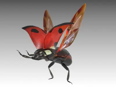 Ladybug Animated Low-poly 3D model