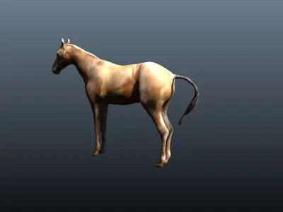 horse 3D model 8