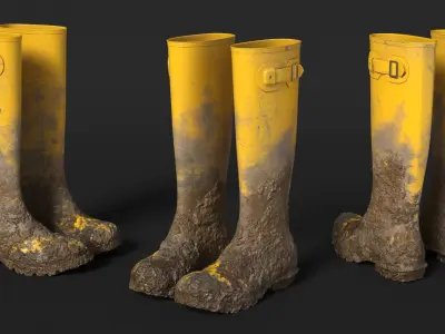 Dirt on Rubber Boots 3D model