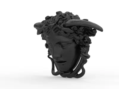 Medusa Head 02 3D print model