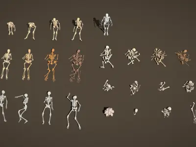 Props Pack - Human Skeleton Low-poly 3D model