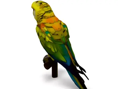 Realistic Animated Superbe Parrot 3D Model Low-poly 3D model