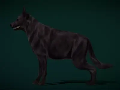 Black German Shepherd Dog Breed Free low-poly 3D model