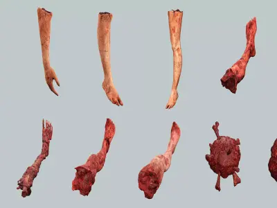 Horror Assets Human Corpse Body Part Collection X5 Pack 3D Model Low-poly 3D model