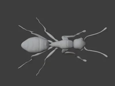 Ant Red 3D model
