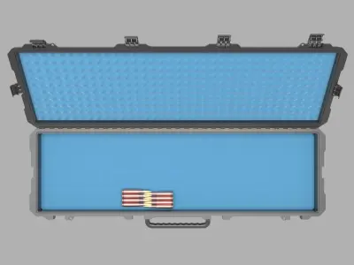 Gun Case 3D model