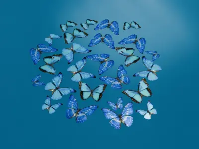 butterfly Low-poly 3D model 3