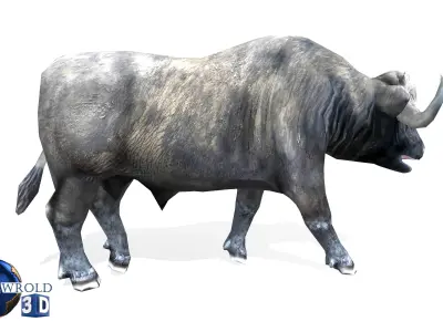 Buffalo rigged animated lowpoly 3d model Low-poly 3D model