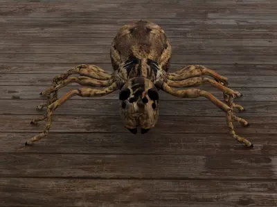 Spider Low-poly 3D model shop