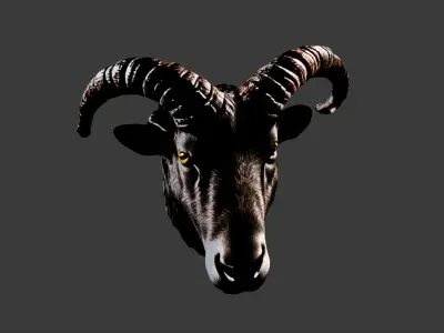 Animal Head Low-poly 3D model 16