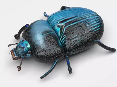 Beetle 3D model purchase