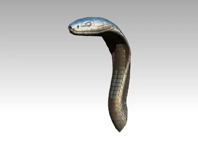 Cobra Snake Head part 3D print model