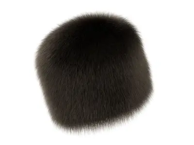 Shapka Fur Hat 3D model