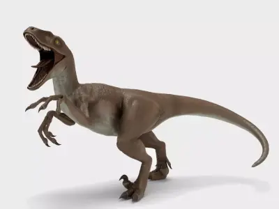 Realistic Velociraptor Rigged 3D Model Low-poly 3D model