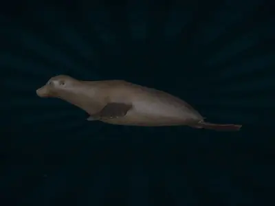 SEAL-001 Rigged Seal 3D model