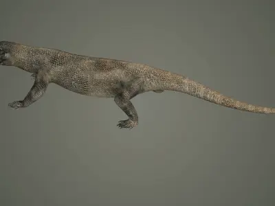 reptile lizard nature dinosaur animal wildlife animals 3D model