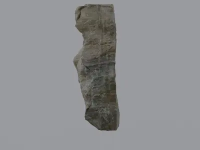 Ancient Plant Fossil 3D model