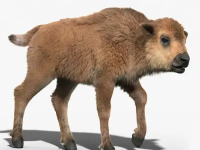 American Bison GROUP(FUR)(RIGGED) 3D model