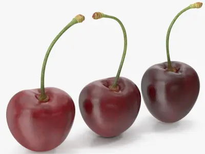 Cherries 3D model purchase