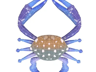 Flower Crab Animated  Low-poly 3D model
