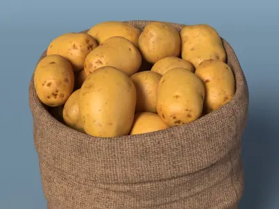  Open Storage Sack With Potatoes 