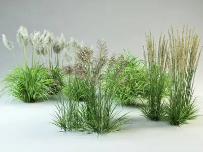  grass collection_1 