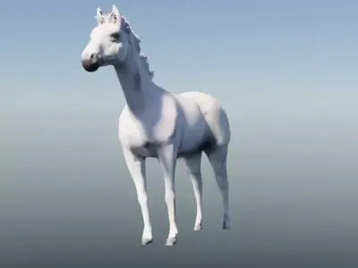 White Horse Free 3D model