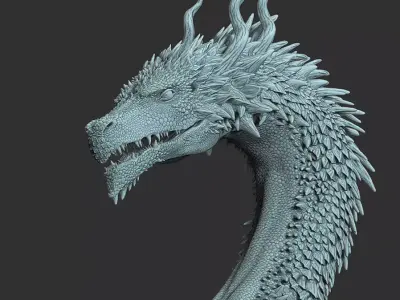 Very detailed Dragon Head Sculpt 3D model