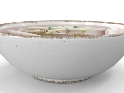 Broth with Mung Bean Sprouts 3D model