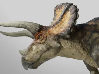  Triceratops Rig Low-poly 3D model