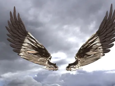Serafim Curved wings 5 3D model