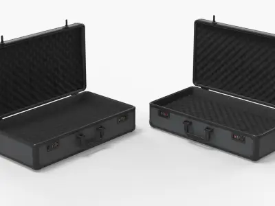 Protective Carry Case with Locks and Foam Insert Black 3D model
