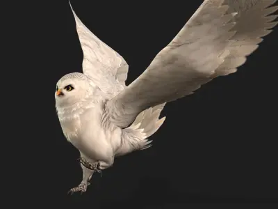 OwlBird A3 3D model