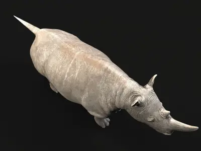 Rhino rhinoceros Low-poly 3D model