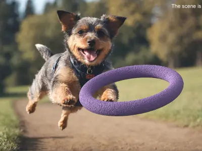 Dog Toy Puller Micro Used 3D model