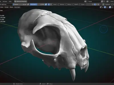 Cat Skull 3D model
