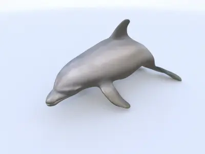 Irrawaddy Dolphin 3D model