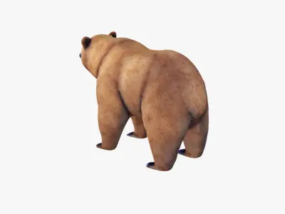 Bear Animal Free 3D model
