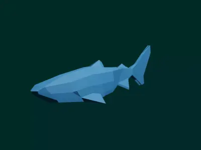 Shark Low-poly 3D model buy